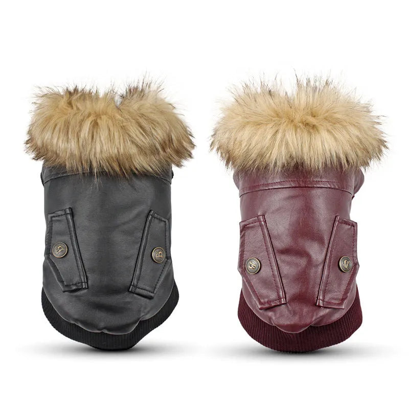 Leather dog coat with fur collar in British style design for autumn and winter