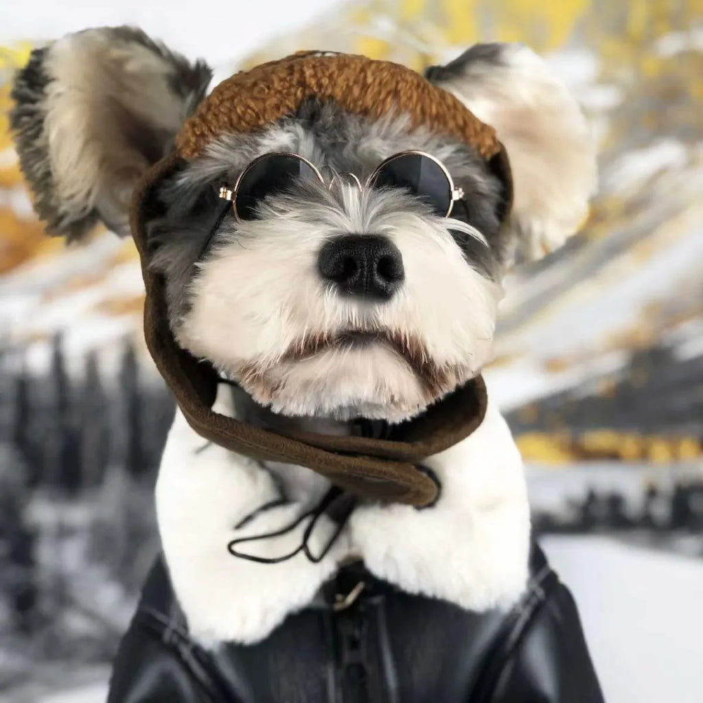 Black and brown leather dog coat for autumn and winter with vest and jacket styles
