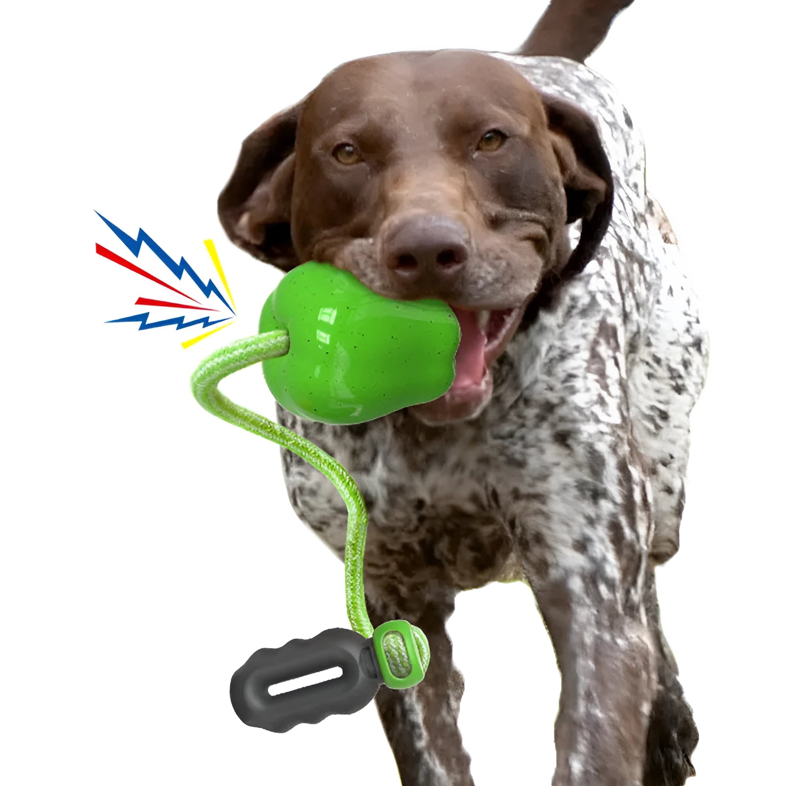 Green plastic dog food dropping ball with dental molar texture for interactive chewing and feeding