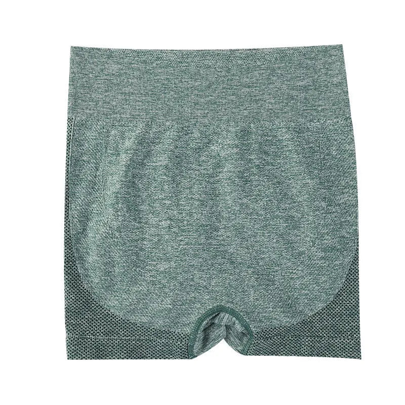 Women's high-waist fitness shorts in quick-dry nylon fabric with seamless waist construction