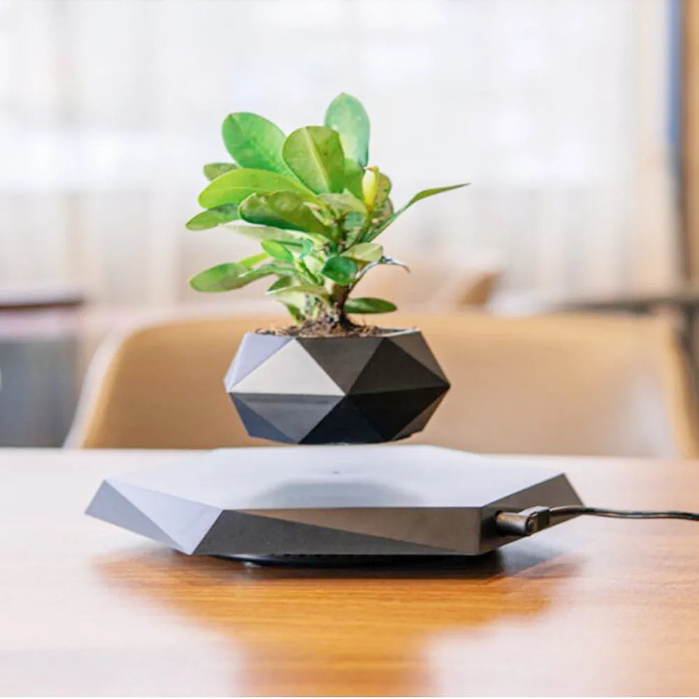 Hexagonal wood grain magnetic levitating flower pot floating above its base with a small air plant inside