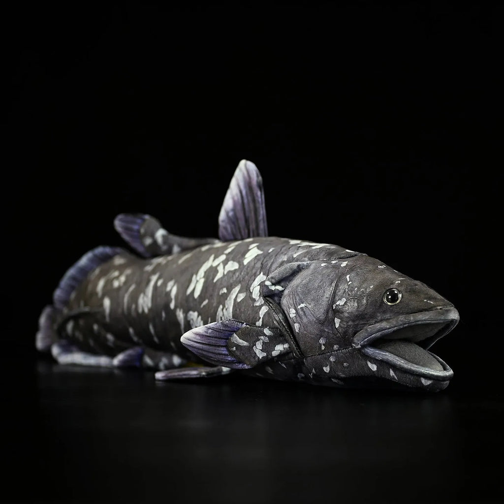 52cm printed coelacanth plush toy in black, made of soft plush and PP cotton filling