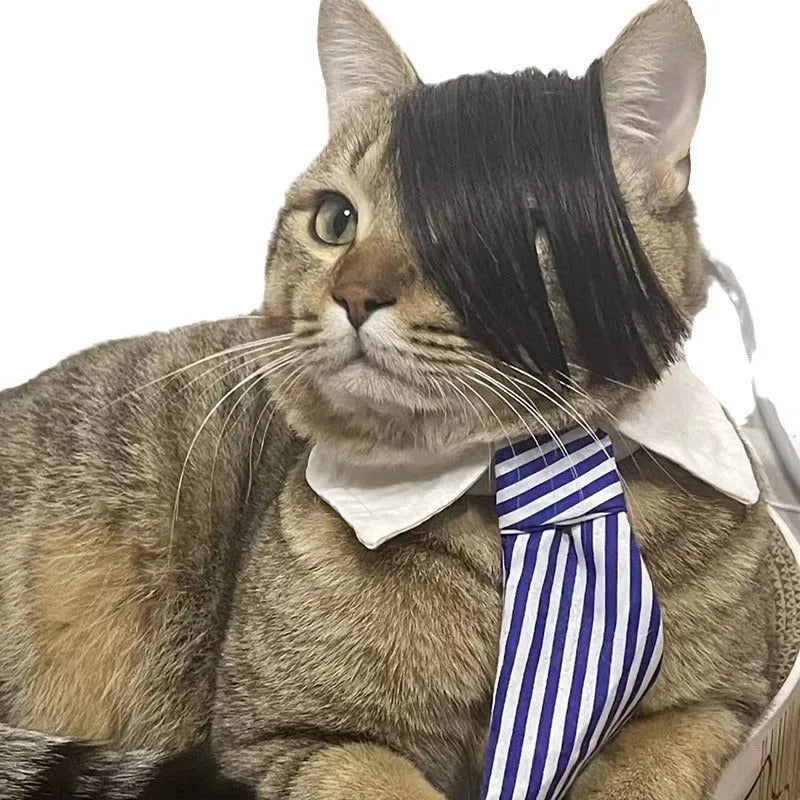 Black imitation braid cat wig made from polyester for pet dress up