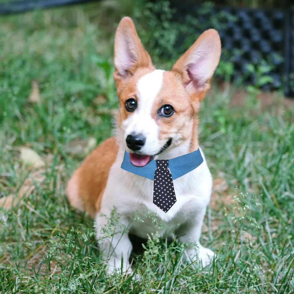 Denim dog collar with star pattern bow tie adjustable for weddings and formal events