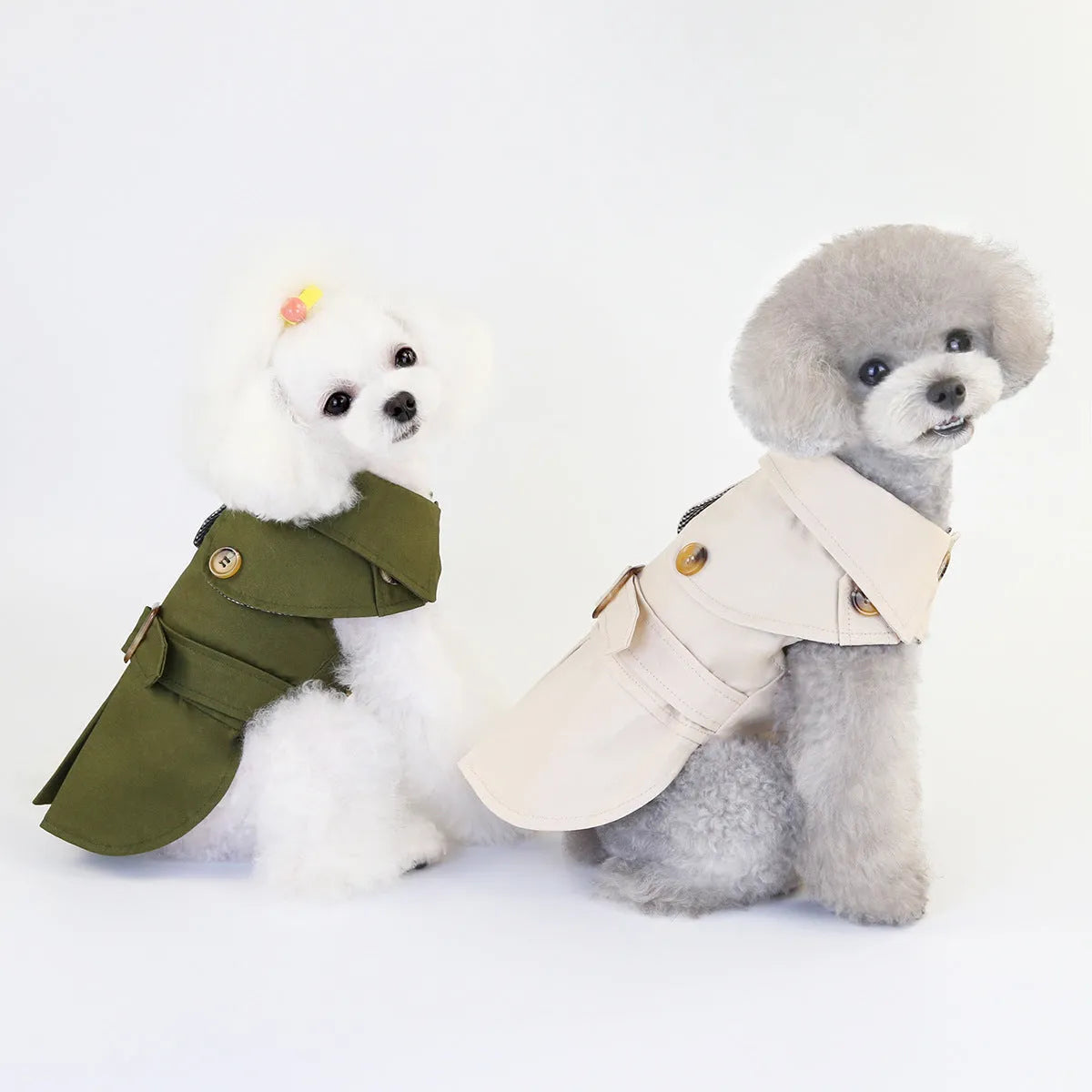 Three-colour windbreaker dog coat for small dogs in blue, green, or khaki, sizes S to XXL.