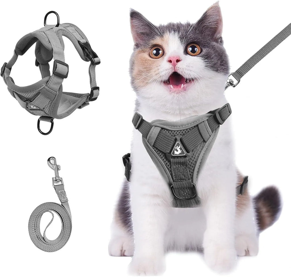 Blue adjustable mesh cat harness with reflective strips and leash for outdoor walks