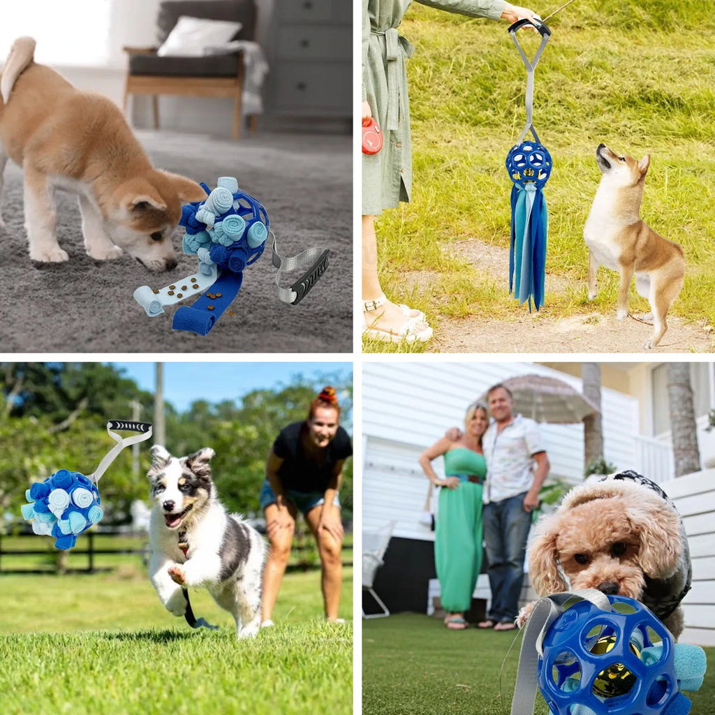 Interactive hollow TPR ball pet toy in assorted colours with bell sound for dogs and cats