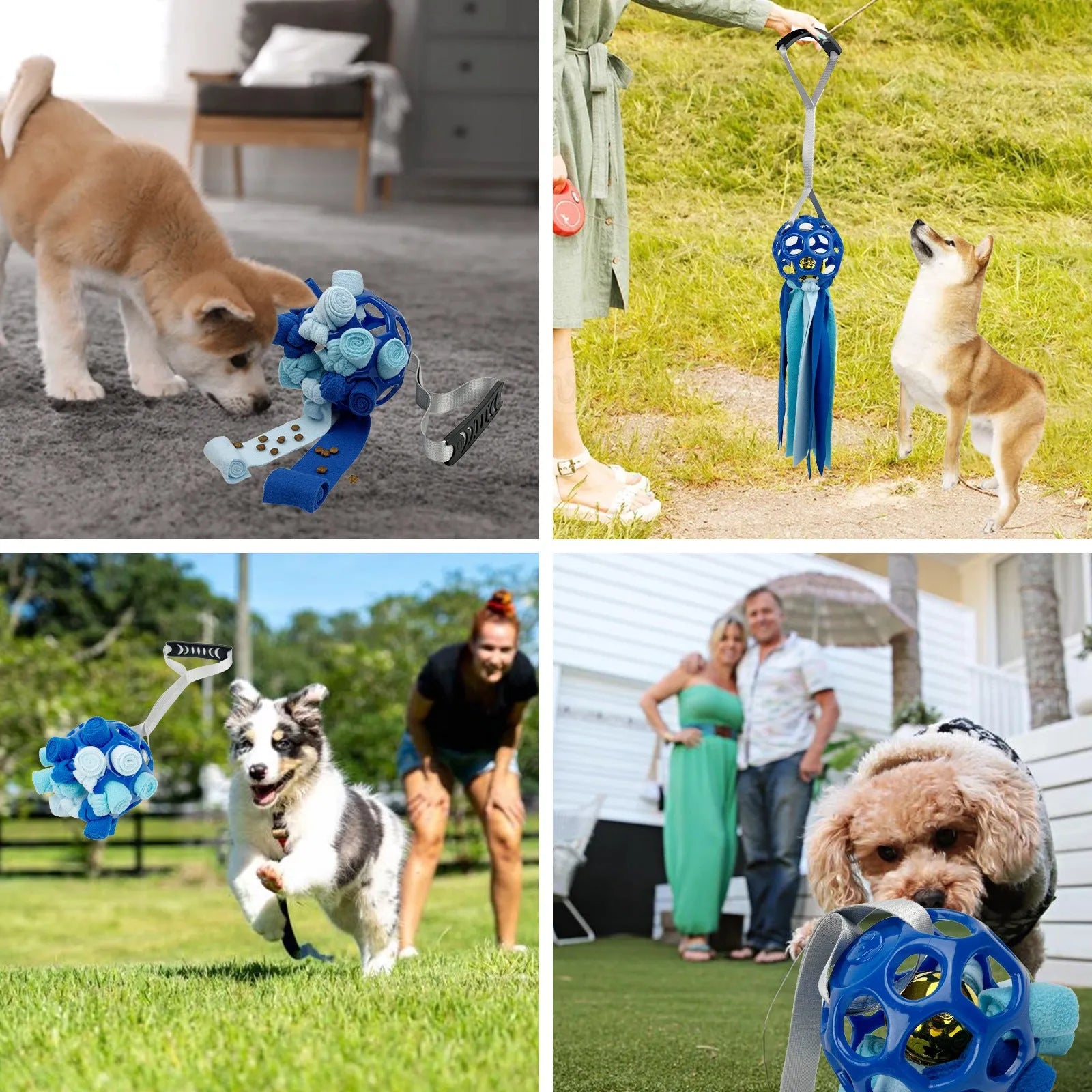 Interactive hollow TPR ball pet toy in assorted colours with bell sound for dogs and cats
