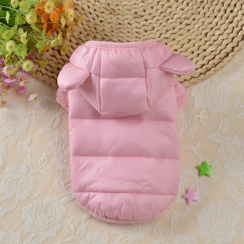 Small dog wearing bread down cotton jacket in bright colour for casual warm pet wear