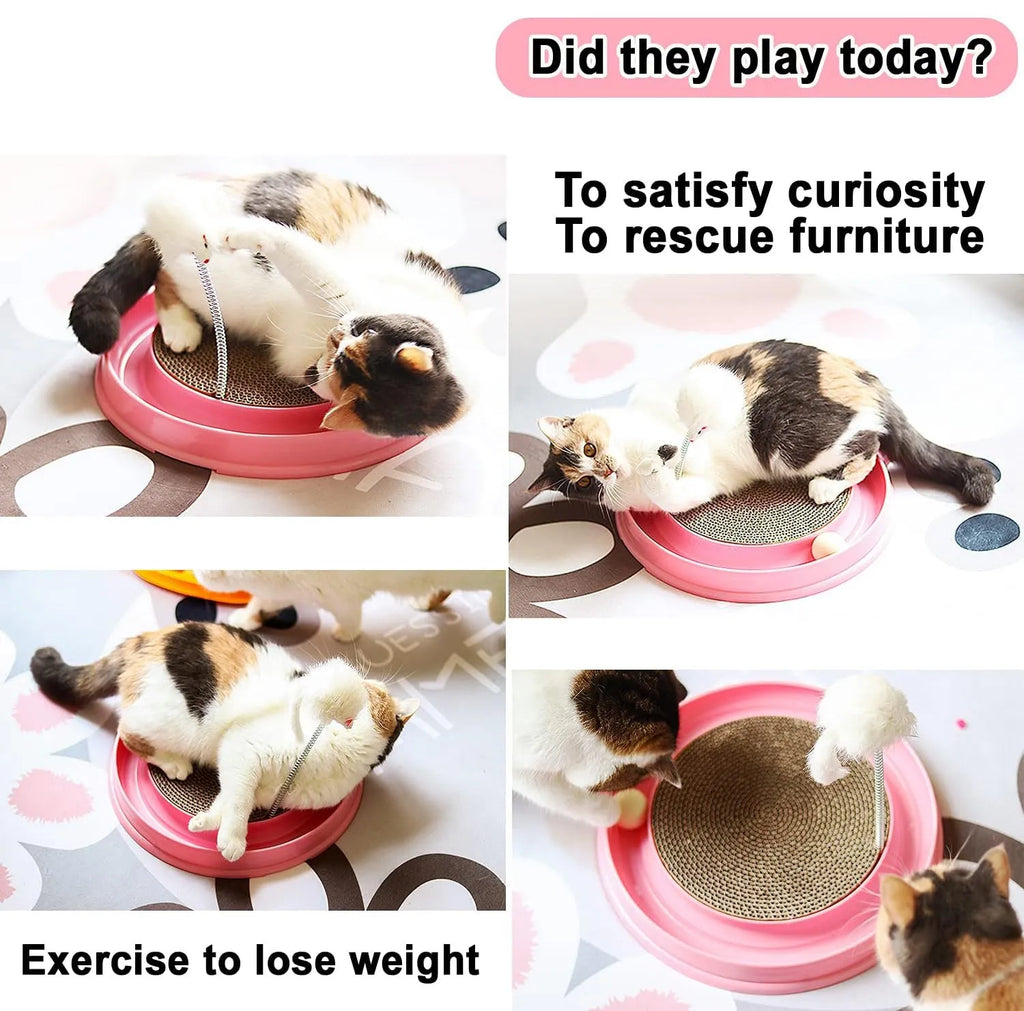 Blue circular cat scratcher toy with ball track and replaceable cardboard scratching surface