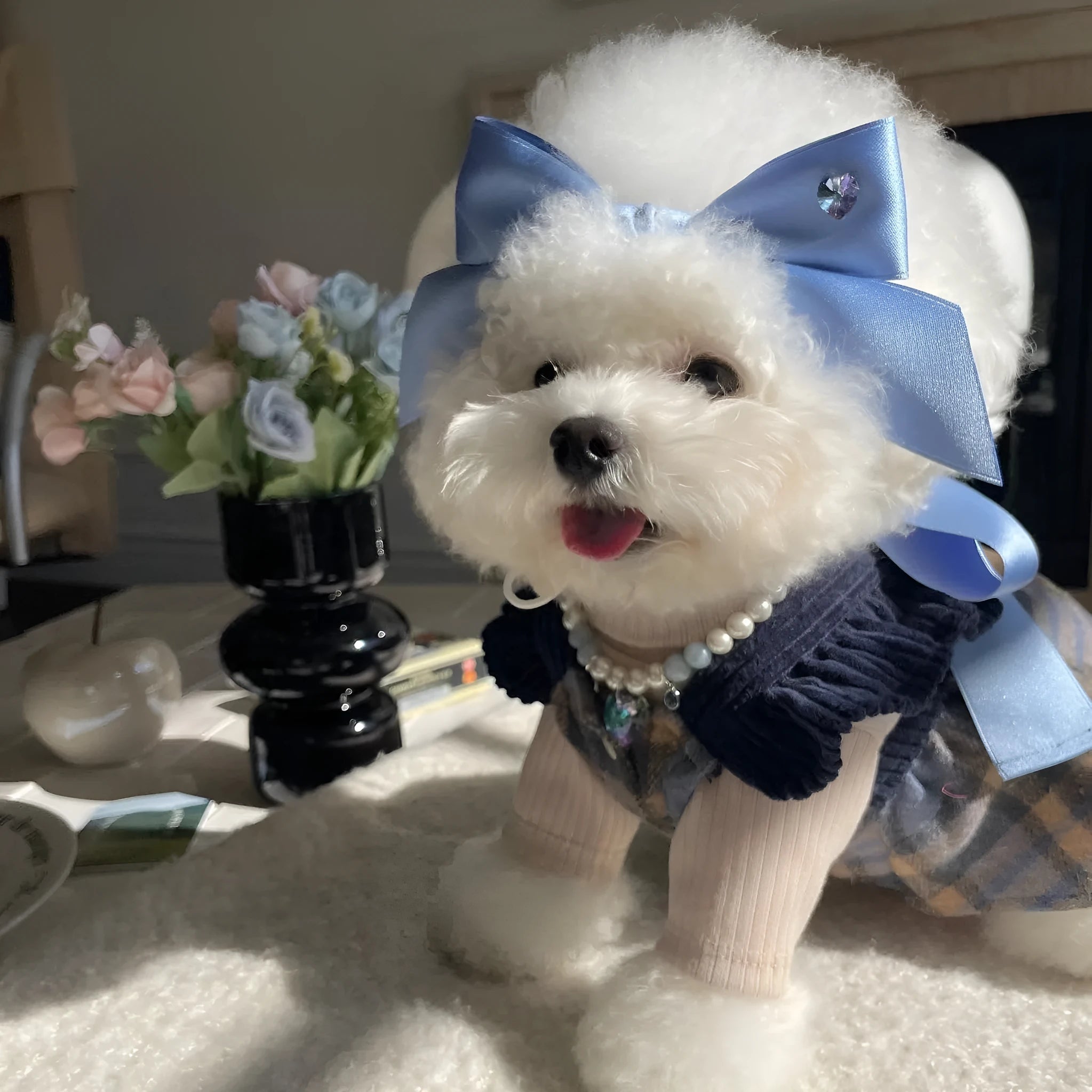 A dog wearing a blue princess style hair band with a large, adjustable bow on its head.