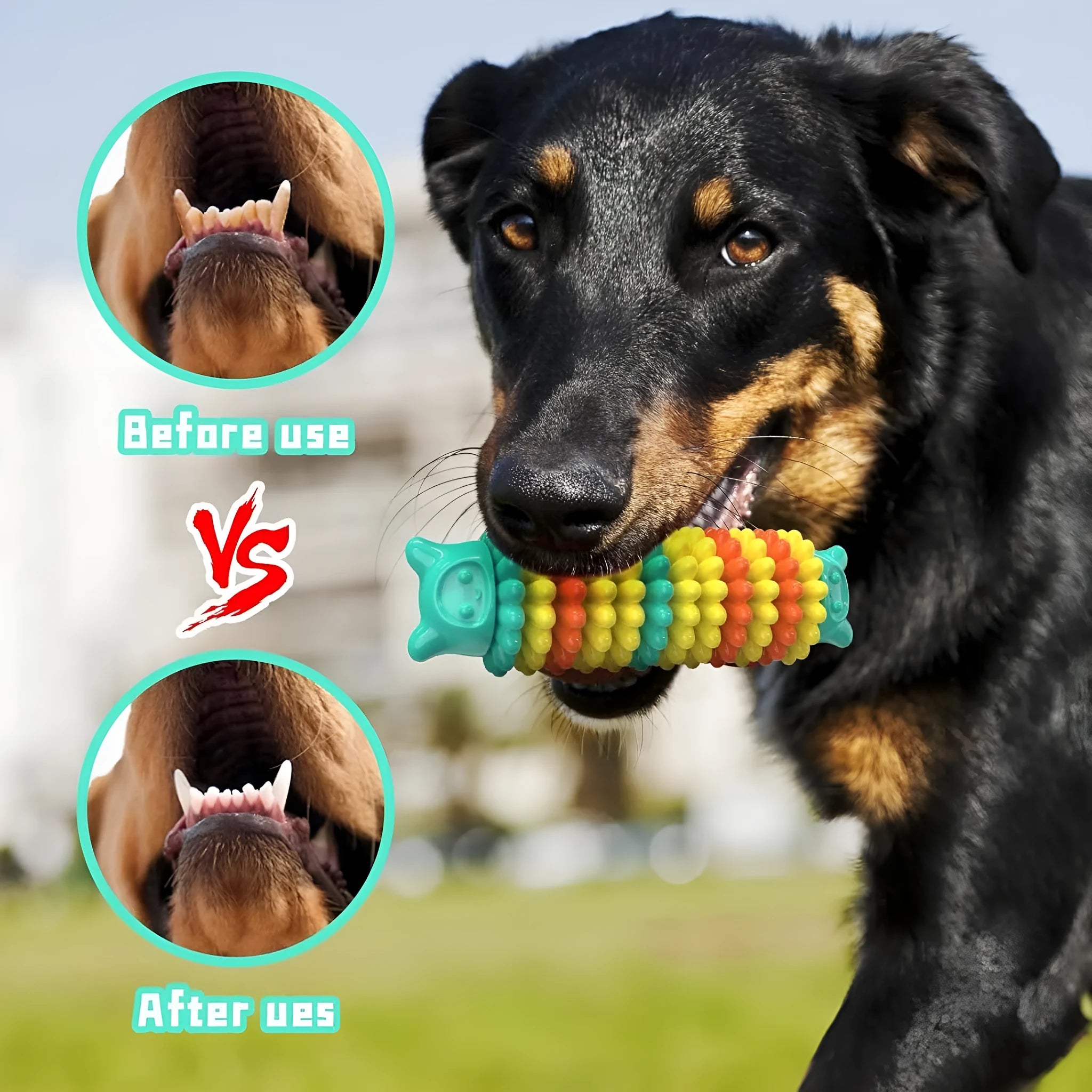 Blue rubber caterpillar-shaped dog chew toy measuring 17cm long with uneven biting surface