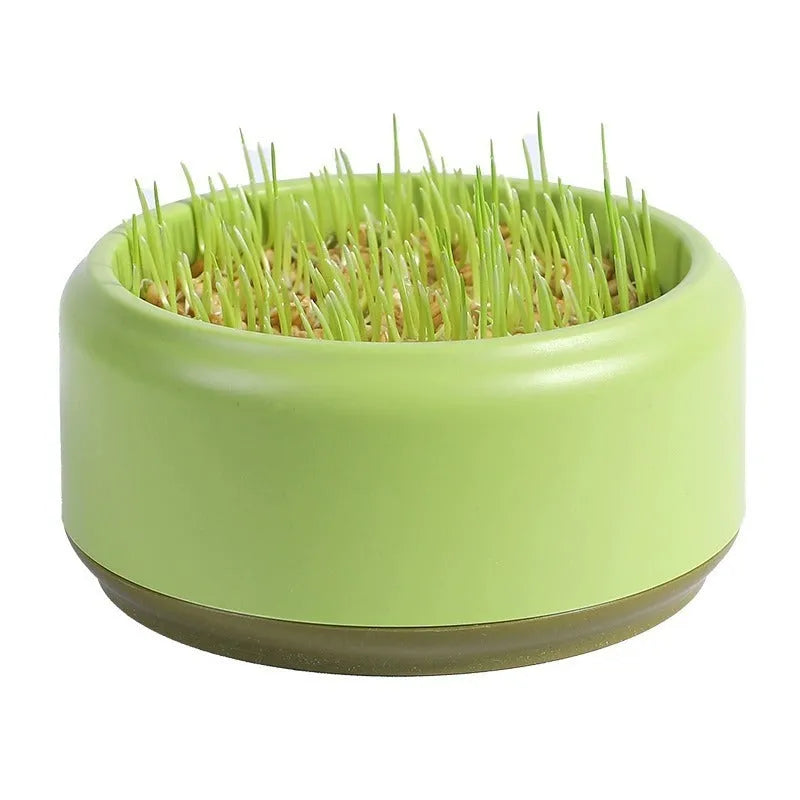 Hydroponic cat grass kit with planting cup and seed packs in blue, green and yellow colour options