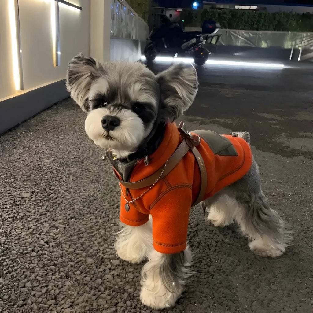 Red polyester hooded sweater for small dogs with two feet openings on a neutral background