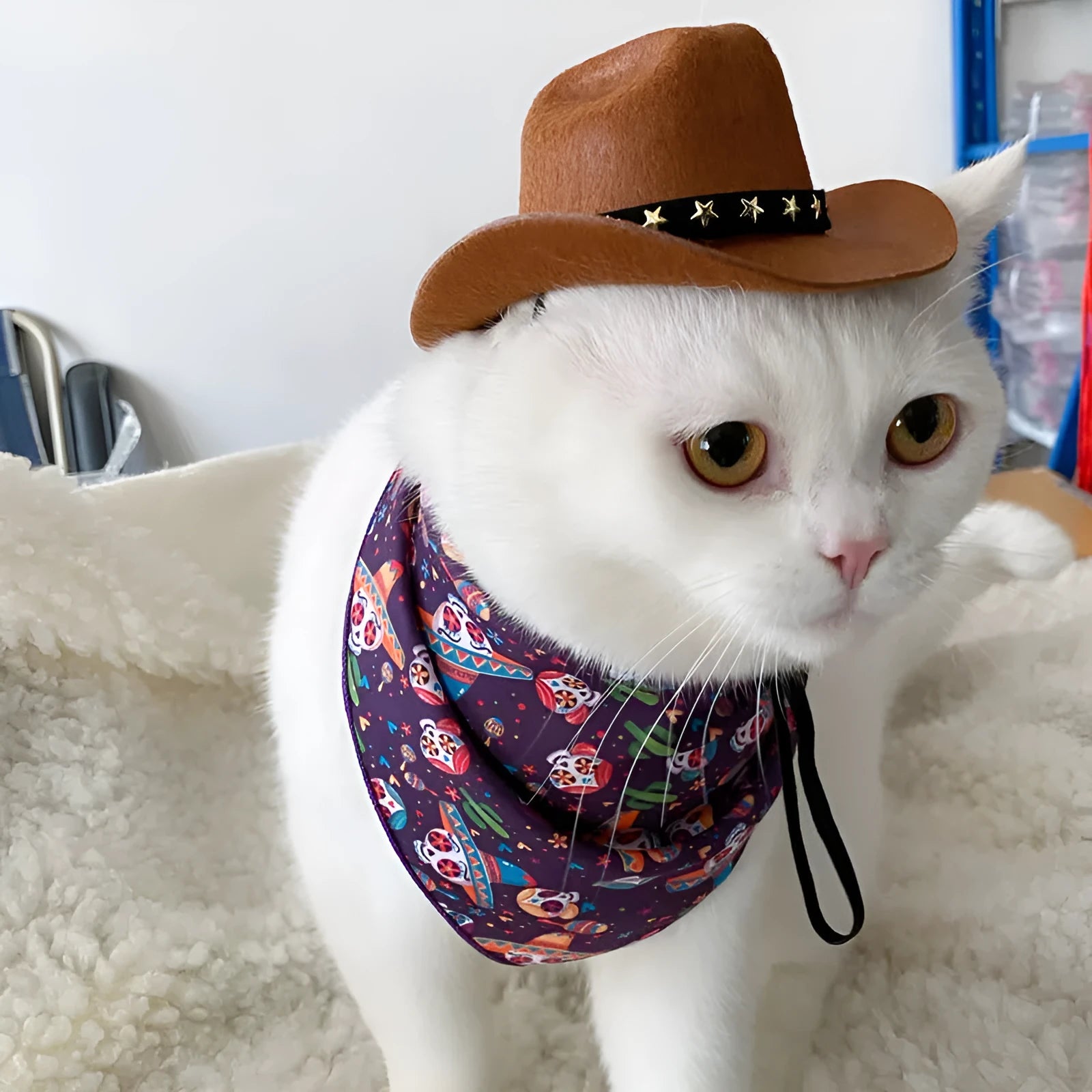 British-style brown cowboy hat for cat with velvet belt decoration as pet costume accessory