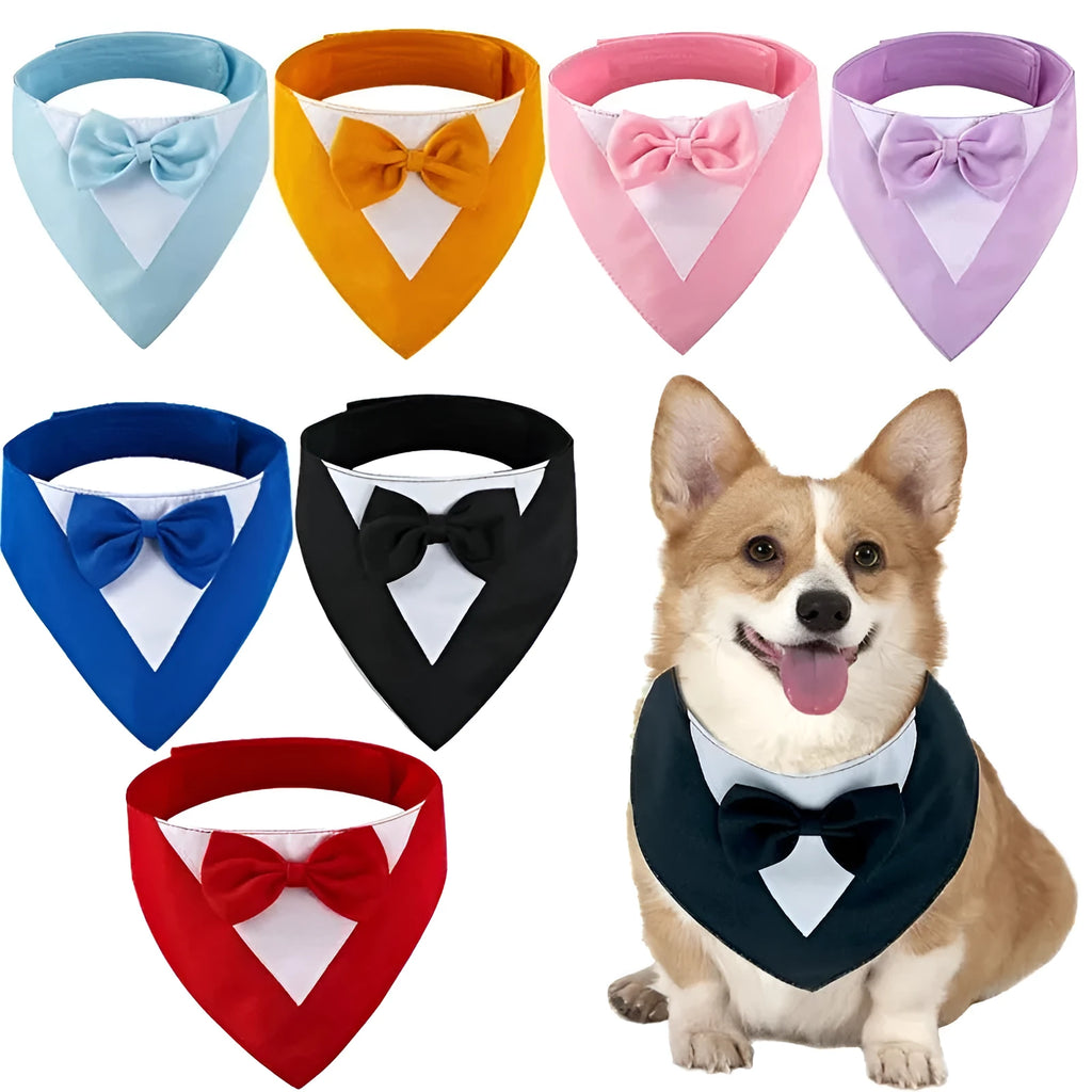 Pet triangle bib bow collar scarf on dog with adjustable velcro fastening
