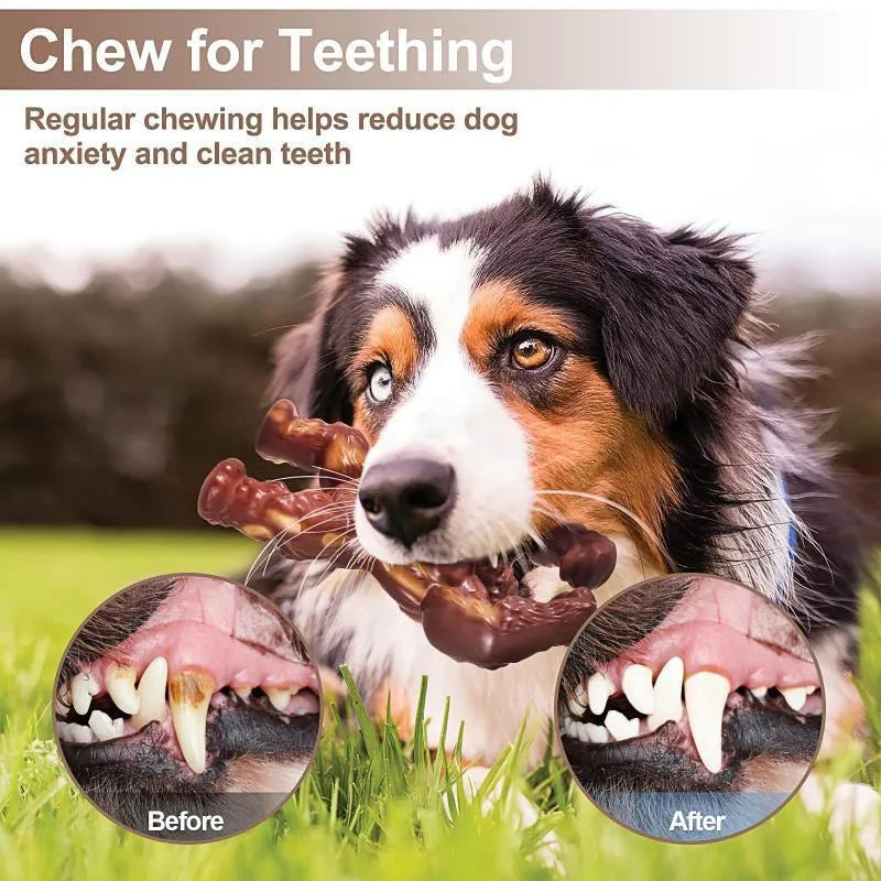 Scarlet red nylon dog chew toy with molar texture and beef flavour coating