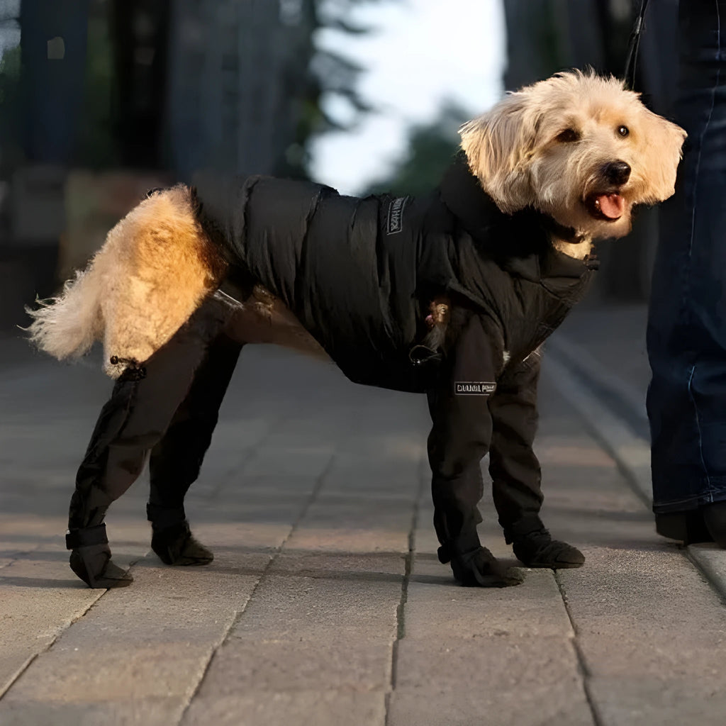 Black waterproof dog shoes with adjustable straps and non-slip soles for paw protection