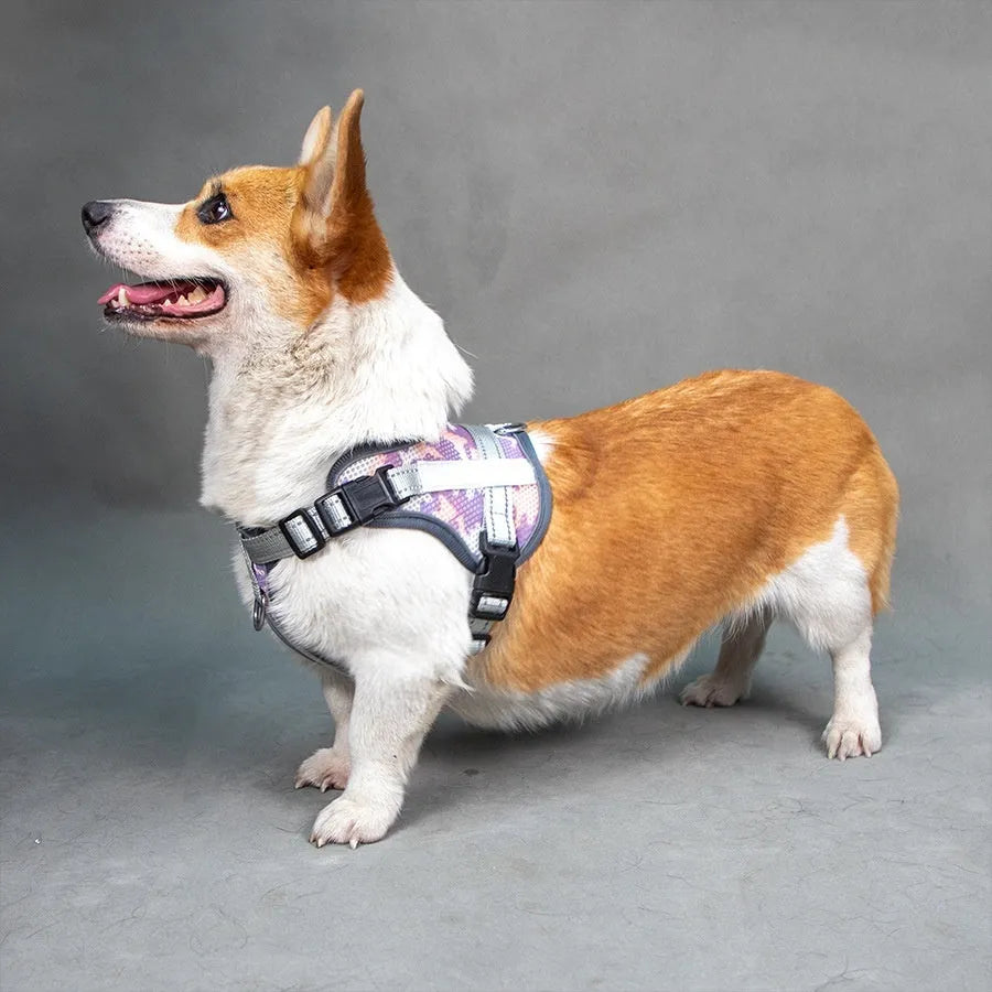 Colourful reflective pet harness with safety collar in ankela red, dark blue or camouflage patterns