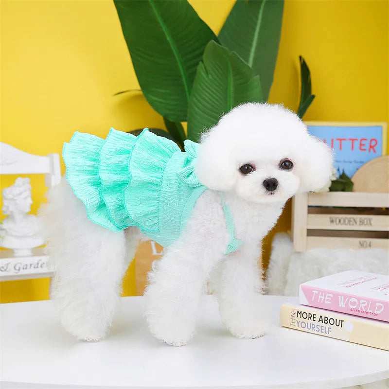 Rose red layered skirt princess dress on a small bichon dog