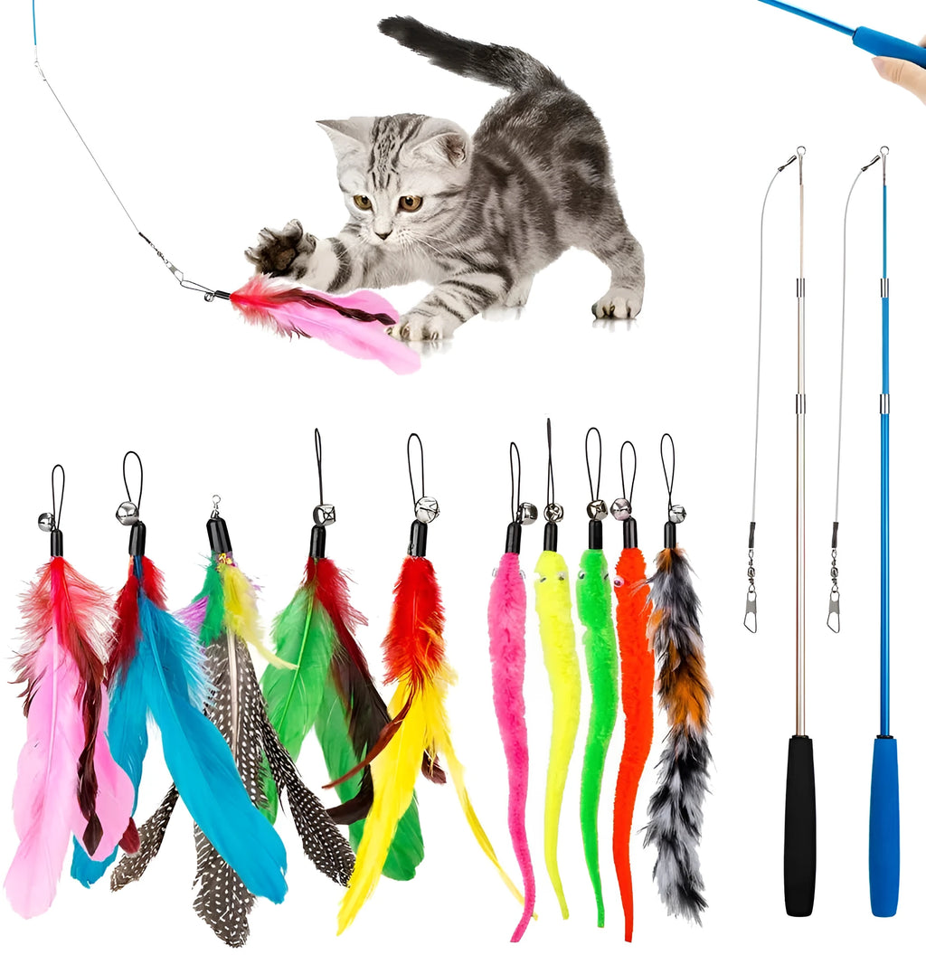 Cat fishing rod set with feather teaser attachments and ten replacement heads