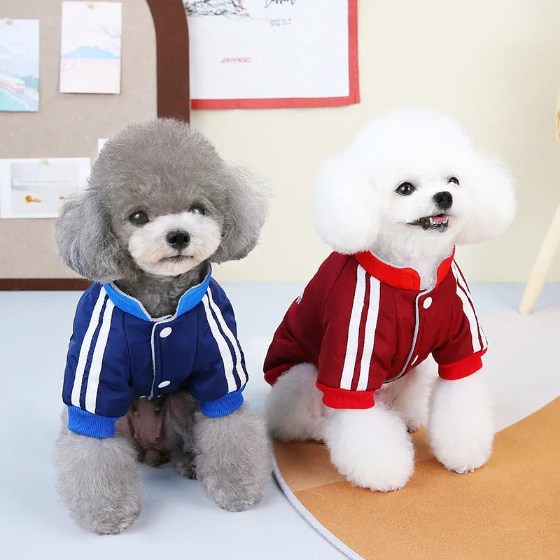 Red V-spliced winter coat on dog showing thick fabric construction and casual styling