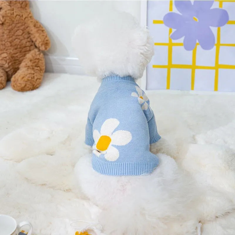 Small dog wearing blue polyester autumn winter clothing with weight-based sizing guide