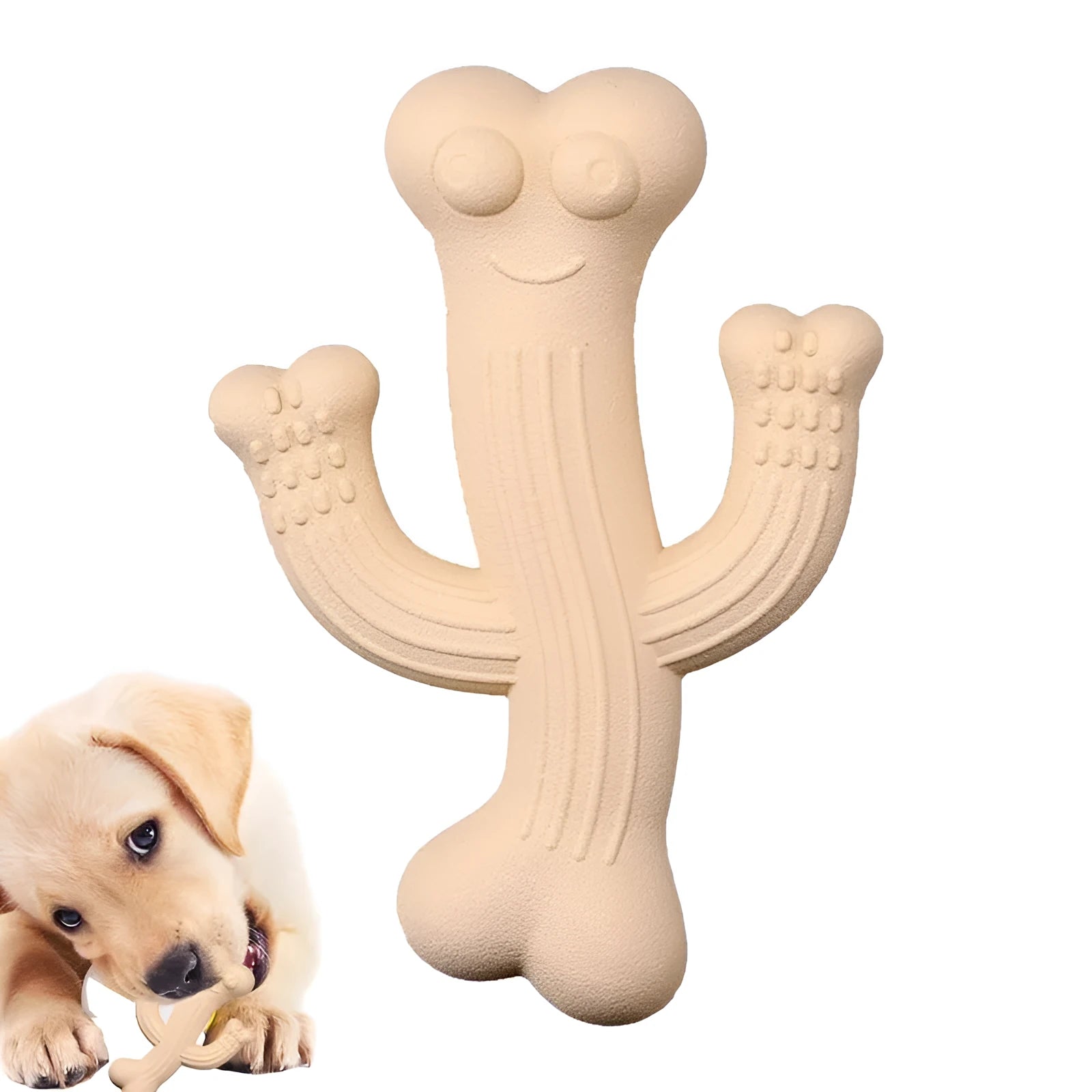 Cactus-shaped dog chew toy in bamboo fibre and rubber showing textured surface and cactus silhouette