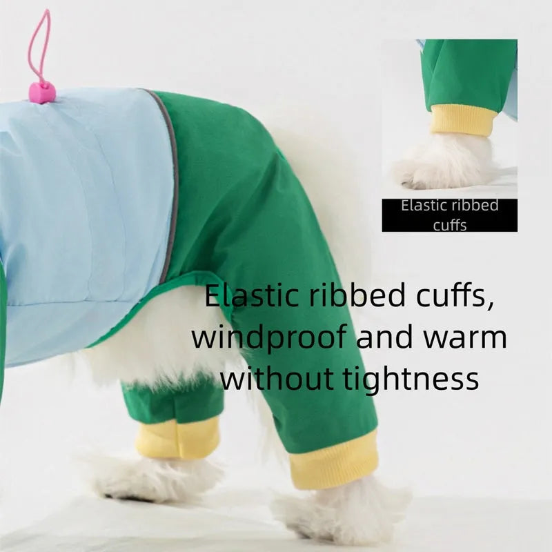 Waterproof 4-leg dog jumpsuit with hood in blue on a dog, reflective details visible