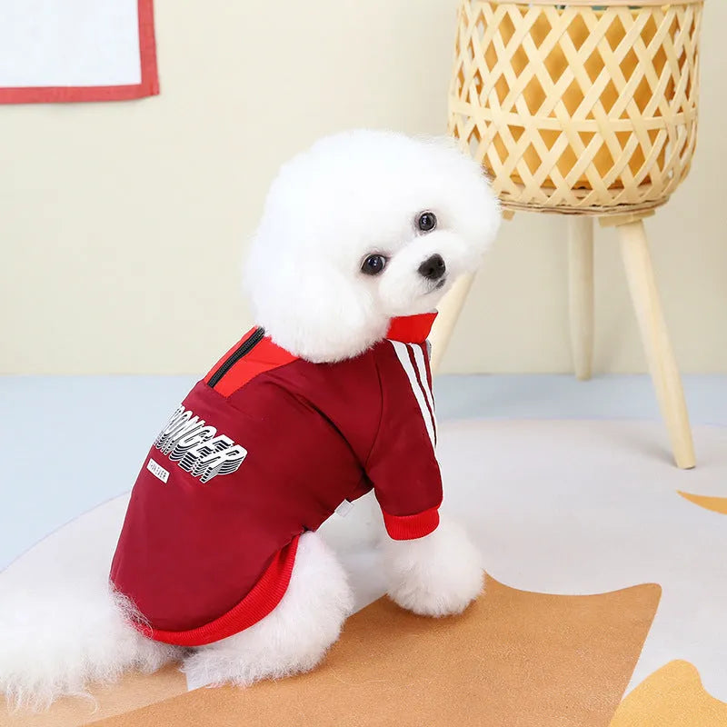 Red V-spliced winter coat on dog showing thick fabric construction and casual styling