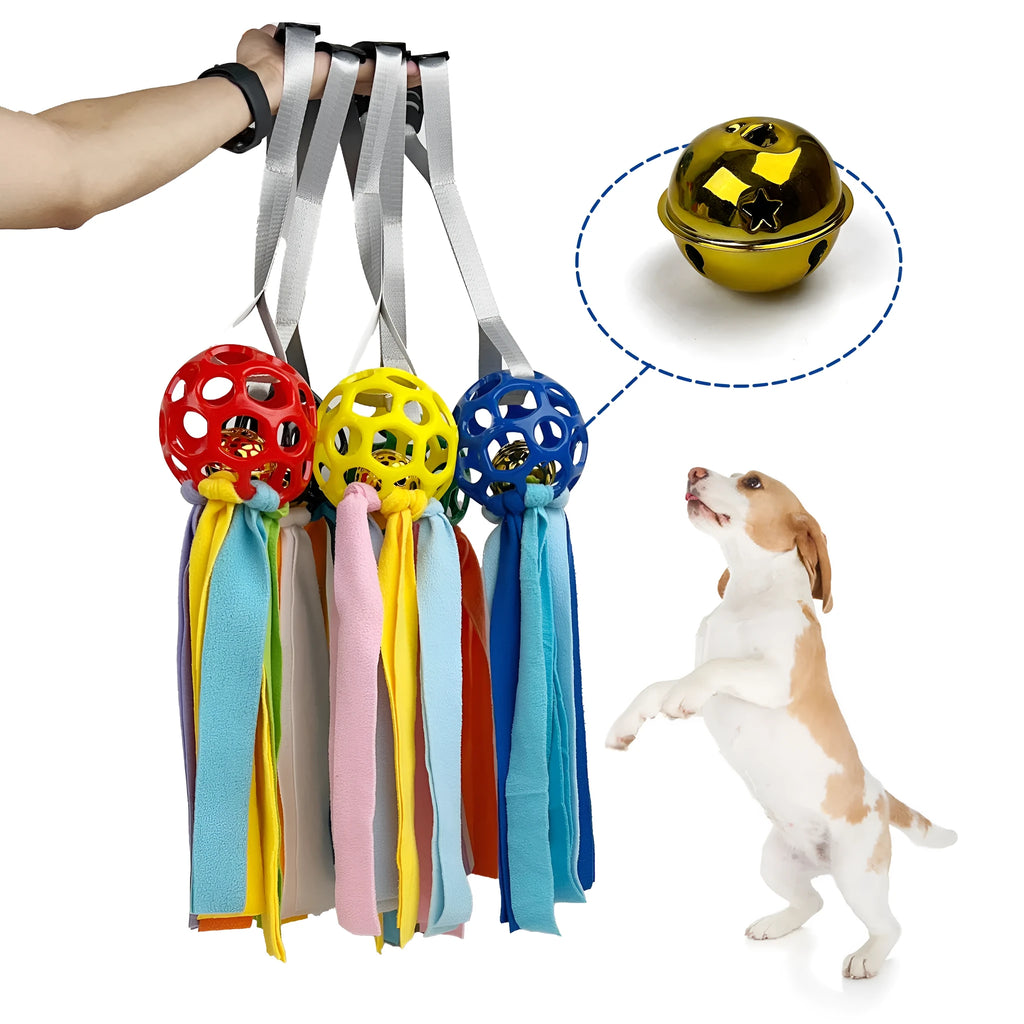 Interactive hollow TPR ball pet toy in assorted colours with bell sound for dogs and cats