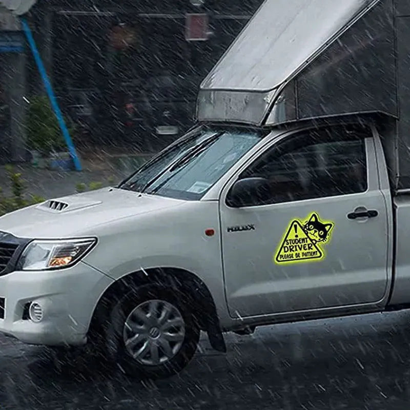 Set of three magnetic reflective car stickers showing cat, panda and duck designs on a car window.