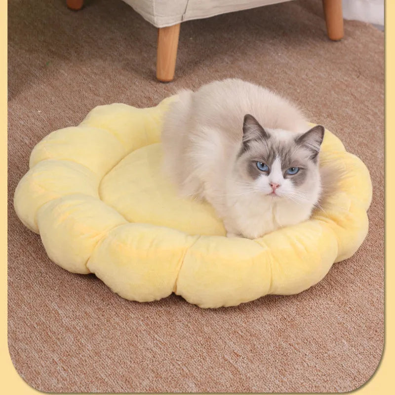 50x50cm double-sided plush pet bed with half-surrounded design in multi-colour petal pattern