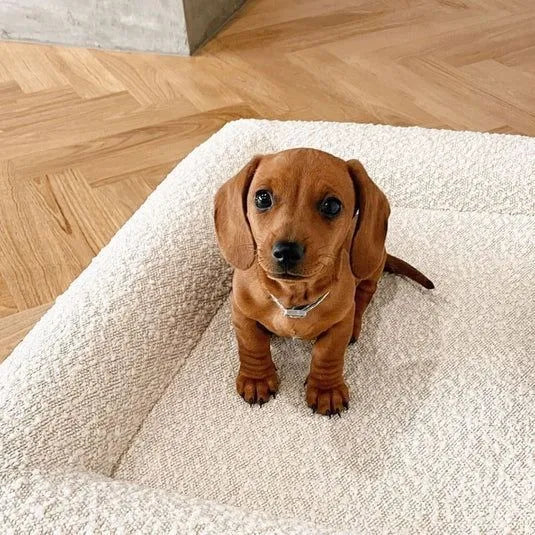 Beige rectangular cloth dog bed shown in medium size on a floor.