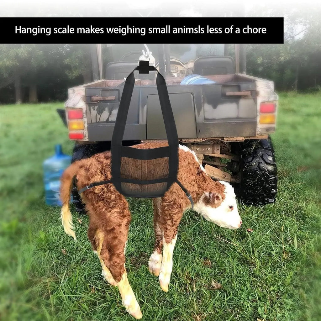 Black calf weighing sling measuring 35cm by 150cm for large dogs and livestock weighing