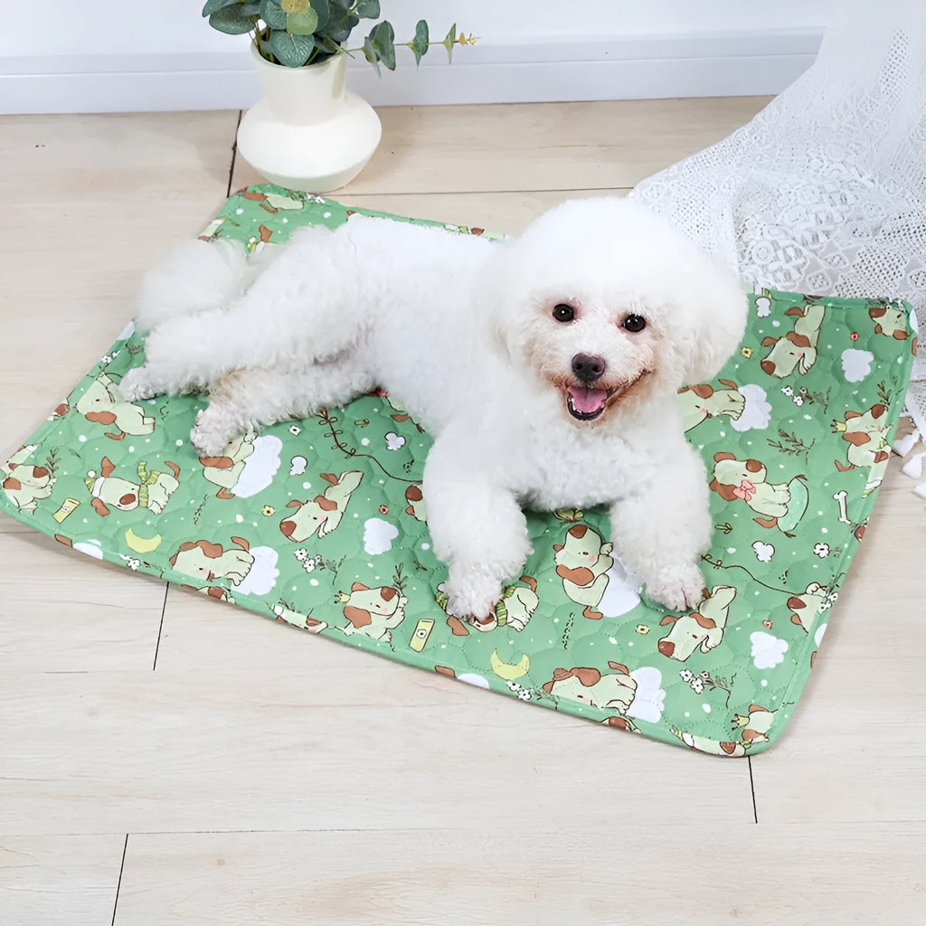 Reusable washable pet urine pad with waterproof backing in animal print design