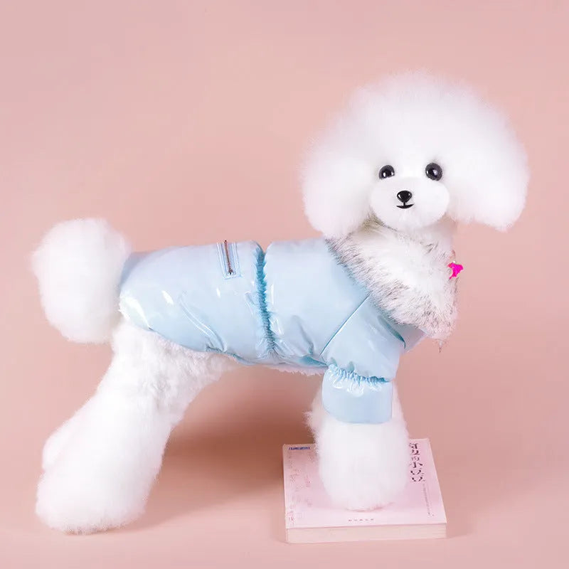 Blue, red, and pink British style cotton down jacket for dogs on a winter background.