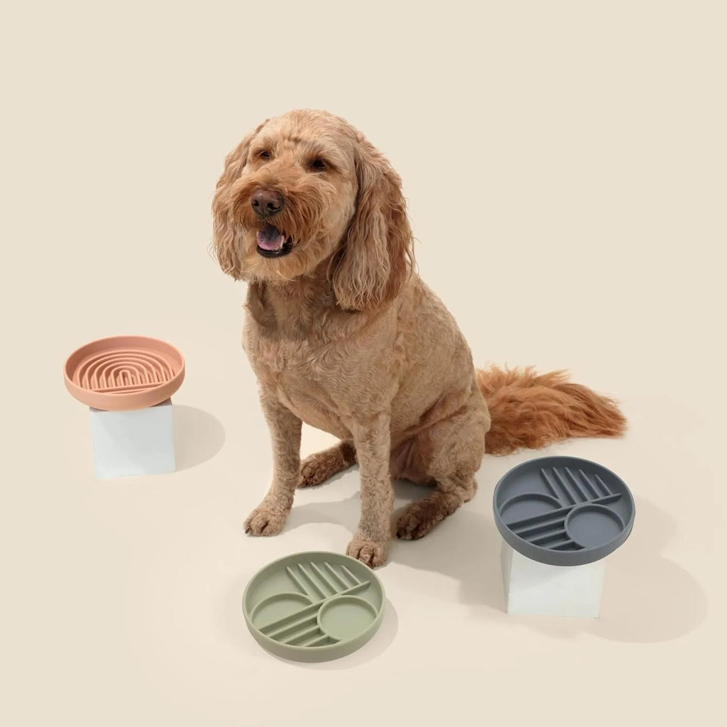 Silicone slow feeder dog bowl with ridges in beige, charcoal, blue, yellow, green, or red