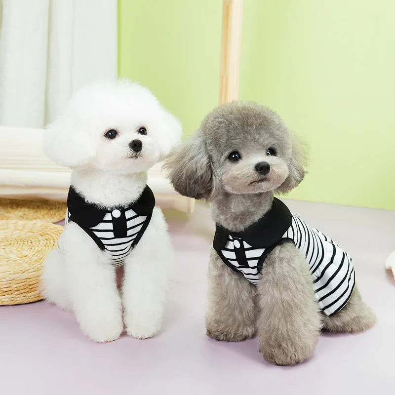 Pet dog wearing striped cotton T-shirt and matching skirt summer outfit set