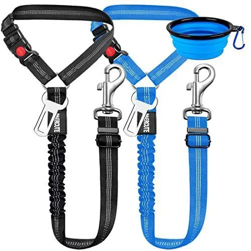 Nylon dog tow rope with metal buckle in multiple colour options on a white background