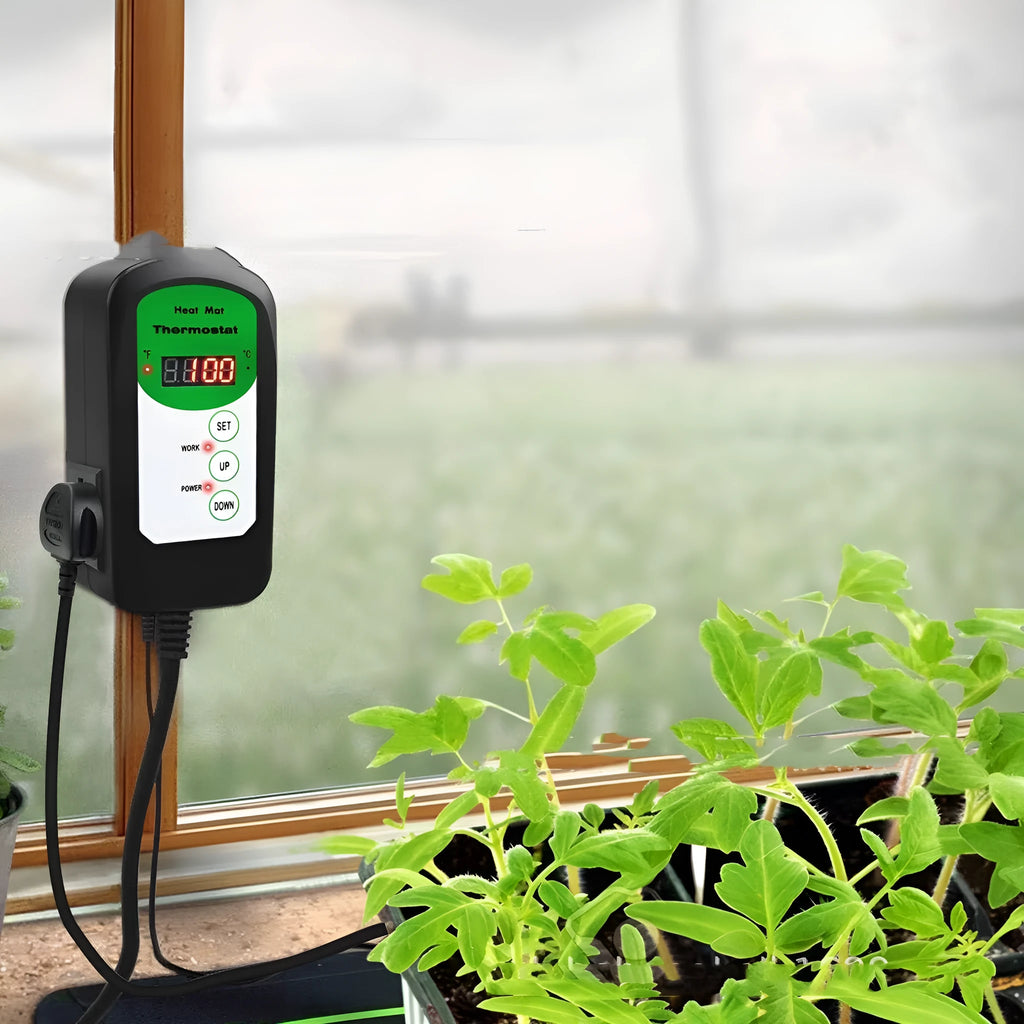 Digital temperature and humidity controller with display showing readings, compact plastic housing measuring 155mm