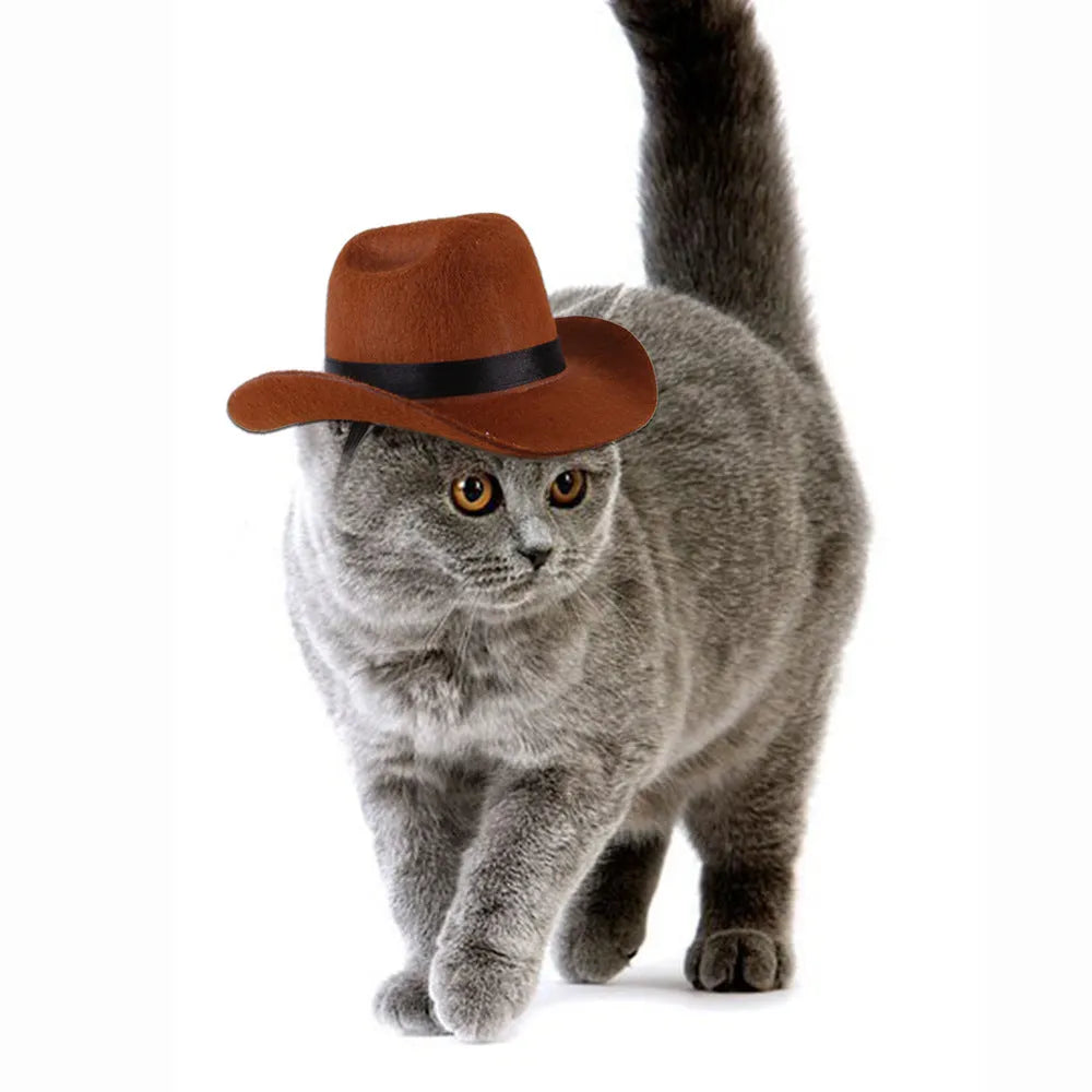 A brown adjustable cowboy hat for a dog or cat on a white background.