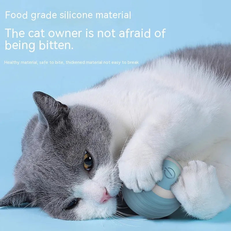 Blue rechargeable automatic moving cat toy ball on floor with charging cable