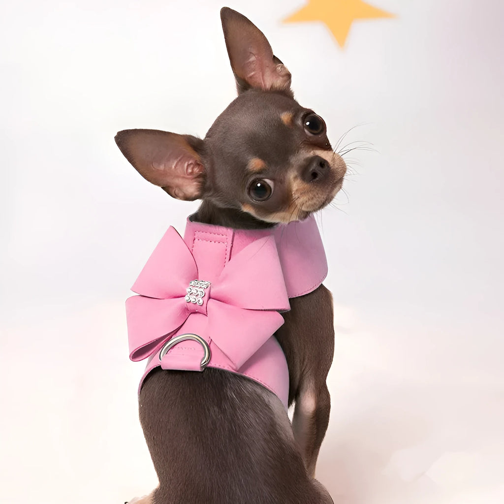 Pink adjustable dog chest strap with a cute bowknot detail, shown on a small puppy.