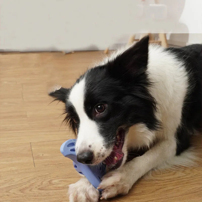 Purple and blue boomerang-shaped dog chew toy with molar texture for medium large breed dogs