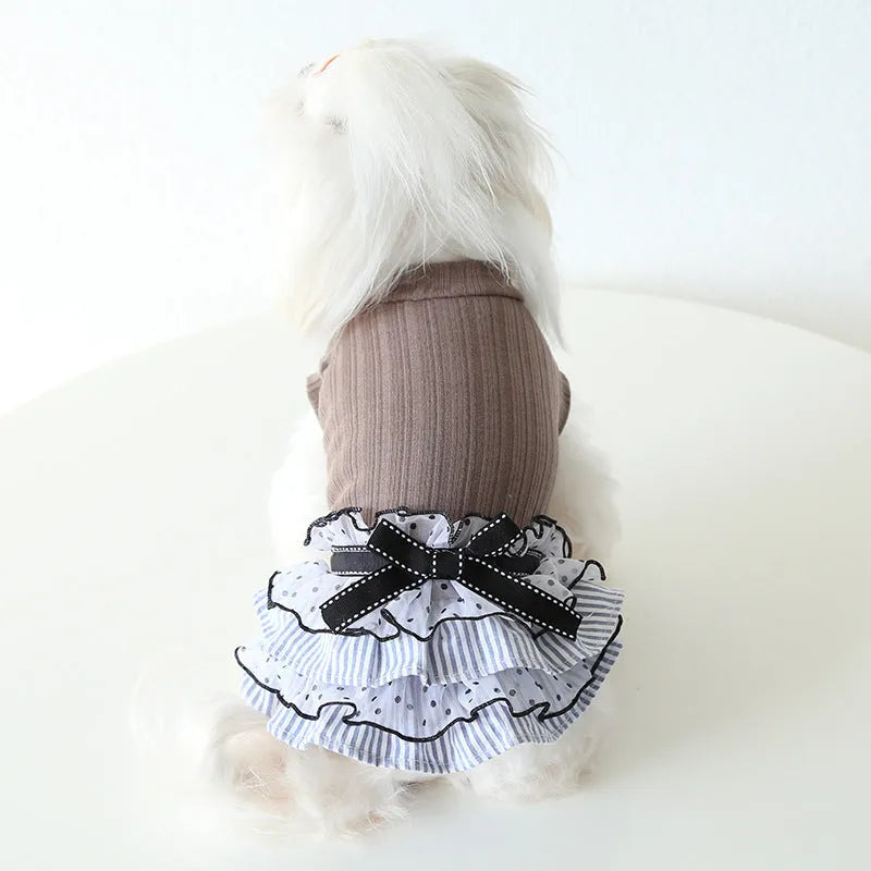 Polka dot lace cake dress for dogs in princess style with elastic back