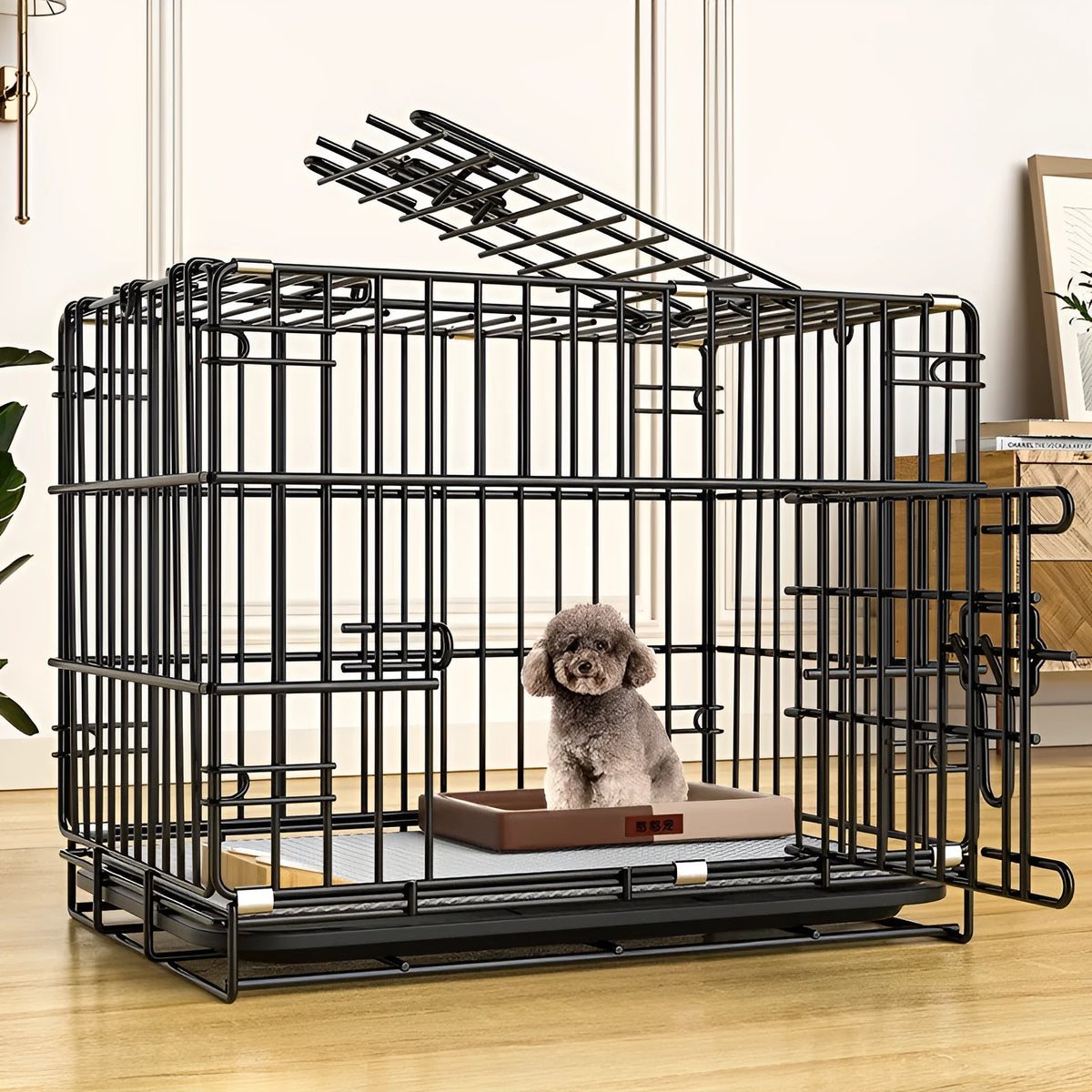 Folding dog pet cage in iron wire, shown in black, blue, and pink with five size options and a supplied plate.