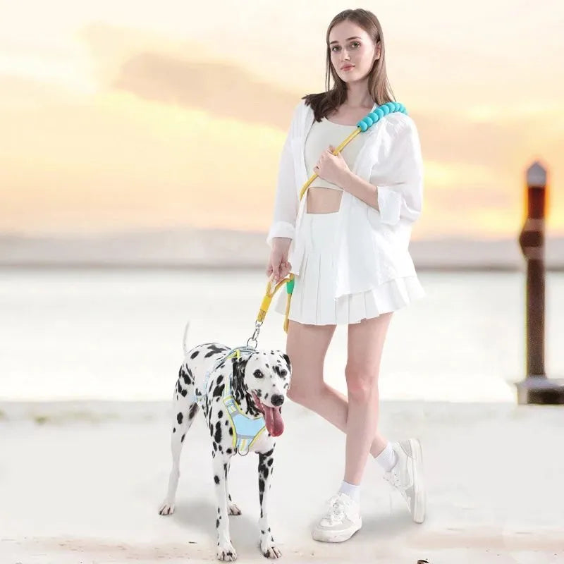 Nylon dog traction leash with foam handle in four colour options showing 140cm length