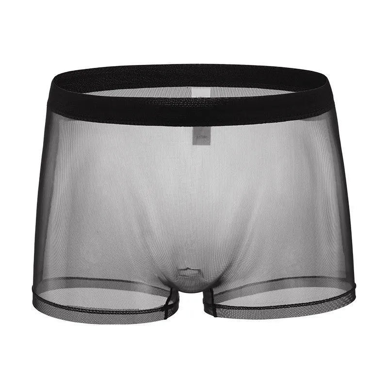 Men's low-waist mesh boxer briefs in sheer polyester fabric, shown in multiple colours including sapphire blue and green.