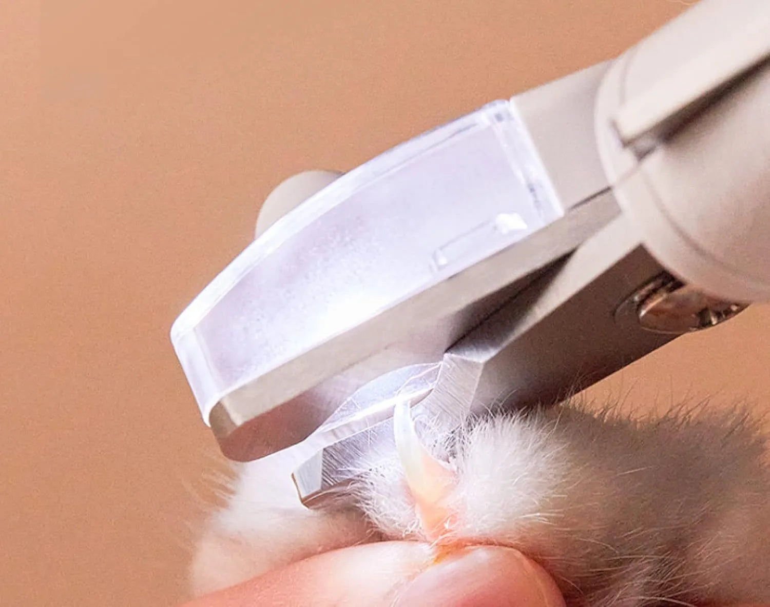 White pet nail clippers with LED light, transparent guard, and built-in file for cats and dogs.